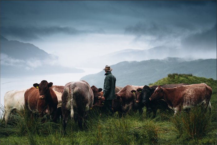 Associate feature: Scotland’s Red Meat Industry: A Natural Path to Sustainability and Net Zero