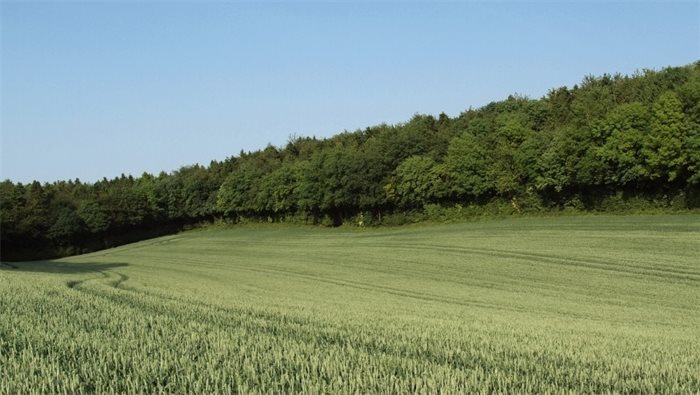 Ministers should do more to make public bodies aware of legal duties on biodiversity, MSPs recommend