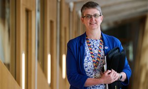 Maggie Chapman to face vote on continued equalities committee membership
